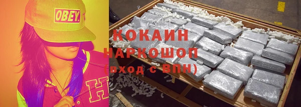 тгк Каменногорск