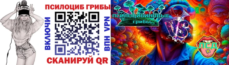 где найти   Уссурийск  KRAKEN ТОР  Псилоцибиновые грибы Psilocybe 